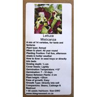 6 Degrees East Heirloom Veg Seeds - Lettuce - Misticanza